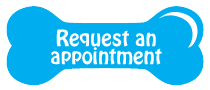 Request an Appointment